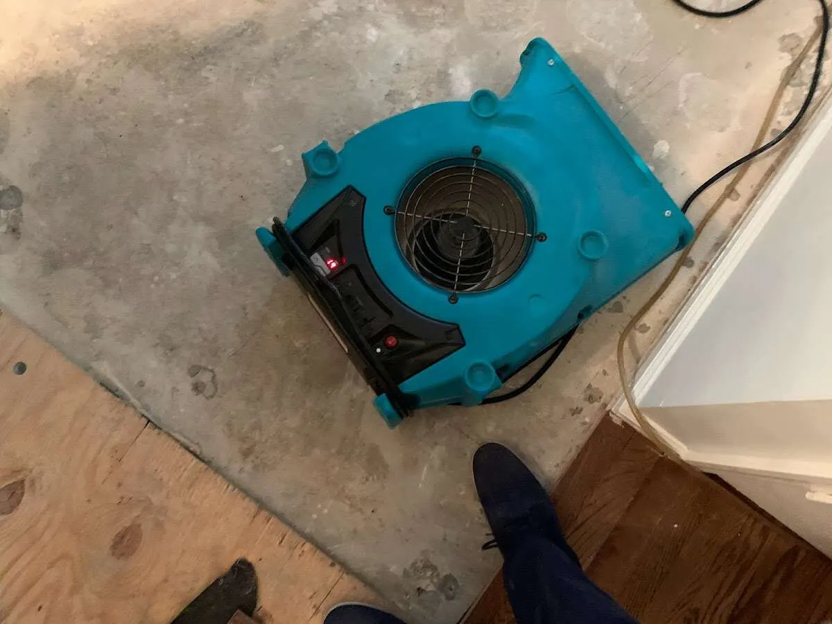 Air mover drying subfloor during Commercial Water Damage Restoration in Mount Rainier